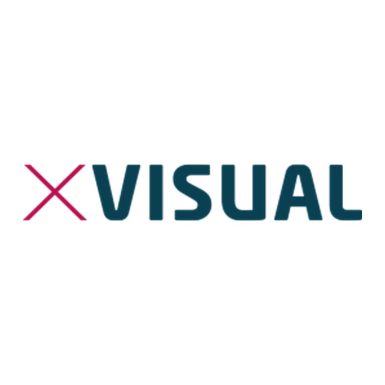 X-Visual